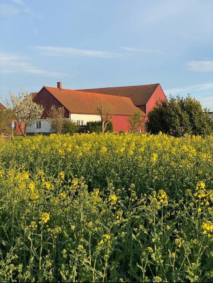 Villa Sandby B&B Borrby Esterno foto